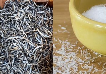 Ibu-ibu Satu Indonesia Pasti Belum Banyak yang Tahu, Ikan Teri Ternyata Bisa Menggantikan Micin, Ini Alasannya