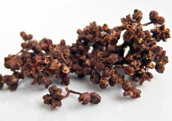 Dijuluki Merica Khas Batak, Diam-diam Rempah Satu Ini Bisa Bikin Seisi Rumah Jarang Ke Rumah Sakit! Kok Bisa?