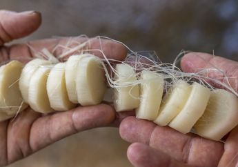 Di Indonesia Dibuang-buang, Batang Pohon Buah Ini Malah Dihargai Mahal karena Manfaatnya yang Tidak Kira-kira