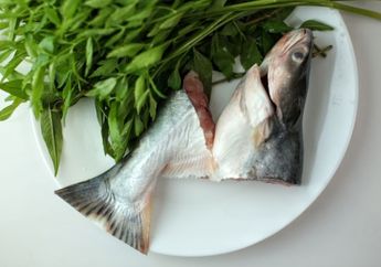 3 Cara Ampuh Hilangkan Bau Lumpur Ikan Patin, Selain Pakai Jeruk Nipis Salah Satunya Juga Pakai Buah Ini