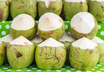 Dibalik Rasanya yang Segar, Air Kelapa Hijau Ternyata Simpan Berbagai Manfaat untuk Promil, Bisa Tingkatkan Kesuburan!