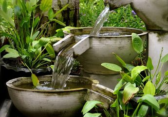 Cara Membasmi Nyamuk yang Bersarang di Kolam Air Mancur, Cukup Modal Bahan Dapur Ini Bisa Basmi Sampai ke Sarang-sarangnya