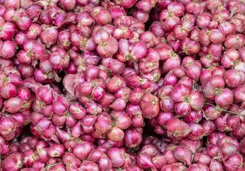 Jangan di Dalam Plastik, Cara Menyimpan Bawang Merah Agar Tidak Benyek dan Awet Hingga 6 Bulan Begini Triknya