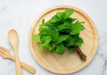 Sering Dibuang Padahal Manfaatnya Luar Biasa, Ini Dia 5 Khasiat Daun Mint untuk Kesehatan Tubuh, Bisa Dibuat Menjadi Teh!