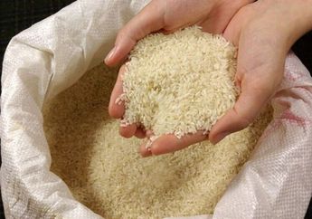 Nyesel Ibu-ibu yang pada Belum Tahu, Ternyata Ada Trik Mencegah Semut Datang ke Wadah Beras dengan Letakkan 1 Bahan Dapur Beraroma Ini