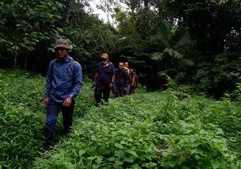 Citizen Scientist di Indonesia: Mereka Menamai yang Tak Bernama