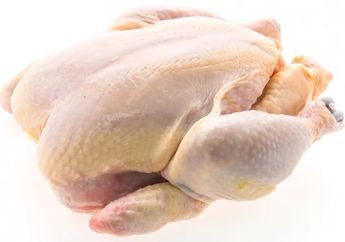 Ayam Kampung vs Ayam Broiler, Mana yang Lebih Baik untuk MPASI Bayi?