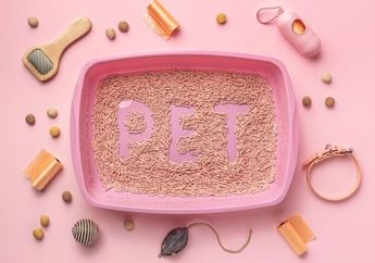 5 Keuntungan Menggunakan Pasir Kucing Tofu, Apa Saja?