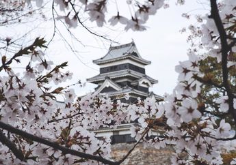 Kenapa Pohon Sakura Begitu Dihormati Orang Jepang? #AkuBacaAkuTahu