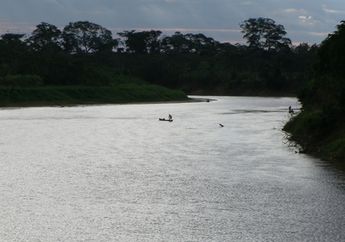 Sejarah Dunia Medis: Suku Tsimane Memiliki Jantung Tersehat di Dunia