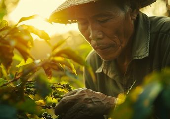 Hari Tani Nasional 24 September: Komoditas Pertanian di Indonesia dan Daerah Penghasilnya