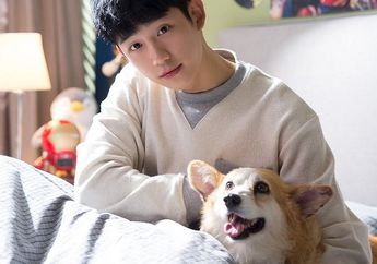 Lebih Favorit Jung Hae In atau 5 Aktor Cowok Korea Lainnya yang Punya Nama Marga ‘Jung’?
