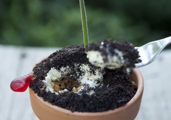 10 Inspirasi Es Krim Tanah Dalam Pot Dan Cara Membuatnya