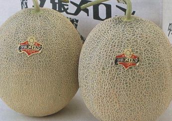 Makanan Paling Mahal Di Dunia