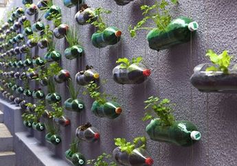 DIY: Bikin Taman Vertikal Yuk!