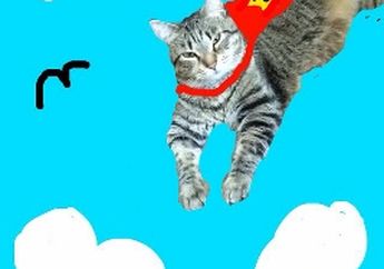 Kucing Paling Artistik Dan Populer Di Snapchat Bernama Maya