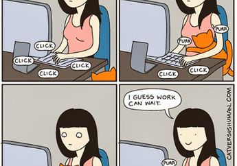 14 Komik Strip Lucu Tentang Bagaimana Rasanya Hidup Bareng Kucing