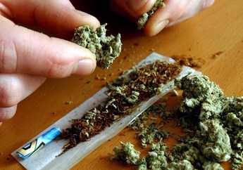 Hati-hati! Selain Ganja, 5 Tanaman Ini Ternyata Juga Punya Efek Memabukkan