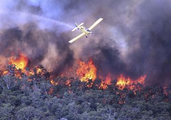 Foto-foto Kabut Asap Kebakaran Hutan di Sumatera & Kalimantan