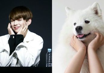 20 Foto Bukti Wajah Imutnya Daniel 'Wanna One' Mirip dengan Anjing Samoyed