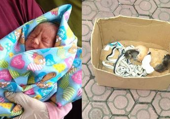 Berita Adek Kecil Berkawan Kucing Terbaru Hari Ini - Grid.ID