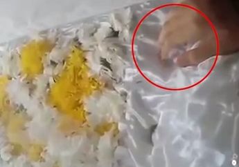 Geger Jenazah Gadis Ini Gerakkan Jari Telunjuk Usai Disemayamkan di Peti Mati, Keluarga Bereaksi Pertanyakan Hal Ini