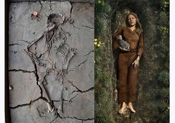 Penemuan Pemakaman Bayi Tertua di Belanda, Disebut Sudah Berumur 6000 Tahun