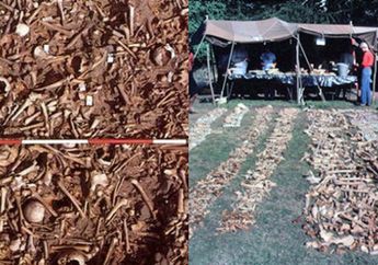 Diduga Makam Viking, Ditemukan Ratusan Tulang Belulang Manusia yang Terkumpul di Satu Tempat
