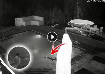 Sedang Berendam di Kolam Renang, Pasangan Kekasih Ini Diserang Seekor Makhluk Liar hingga Alami Hal Mengerikan Ini