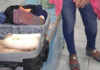 Suami Menyuruh Istri Bawa Mahar Barang Terlarang, Alhasil Istri Terpaksa Dijebloskan ke Bui