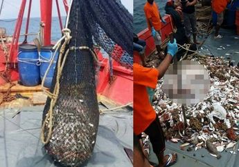 Nelayan Senang Dapat Tangkapan Besar di laut, Saat Jala diangkat Ternyata Isinya Malah Bikin Kaget