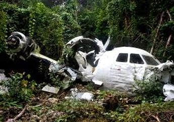 Terdampar di Hutan Usai Mendarat Darurat, Dokter Ini Temukan Keajaiban, Doa Seorang Nenek Membuka Mata dan Jalan Hidupnya