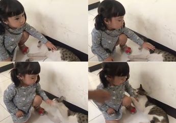 Bikin Gading Marten Gemash! Digigit Kucing, Ini Yang Dilakukan Gempi