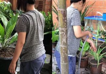 Modal Celana SMP dan Sendal Jepit Kedodoran, Nggak Canggung Artis Papan Atas Ini Berkebun di Rumahnya