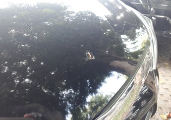 Biasa Menghiraukan Getah atau Kotoran Burung di Cat Mobil? Hati-hati, Ini Bahaya yang Mengintai!