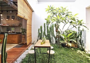 Dapur dengan Taman Alami Ini Bikin Pemiliknya Semakin Terkenal di Dunia Digital