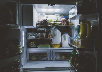 Ibu-ibu Jangan Lagi Pakai Pisau untuk Menyongkel Bunga Es, Begini Langkah Terbaik Agar Freezer Lebih Tahan Lama