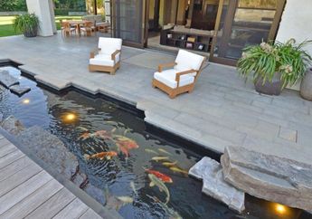 Punya Kolam Ikan di Rumah? Ini Dia Tips Mudah Perbaiki Kolam Ikan Bocor