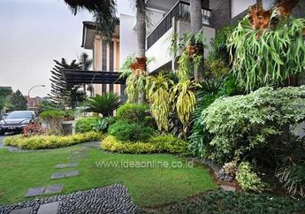 Hutan Buatan di Teras Depan