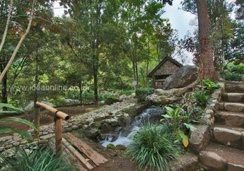 Inspirasi Hardscape Alami untuk Taman Tropis