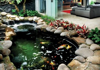 Yuk, Sejukkan Rumah dengan Kolam Koi!