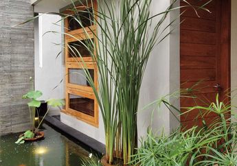 Paduan Segar Typha dan Kolam