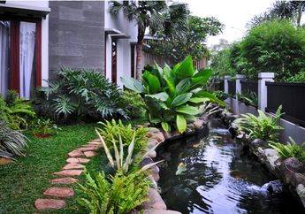 Segarnya Kolam Koi di Taman Samping