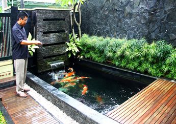 Cantiknya Ikan Koi Dalam Dua Kolam