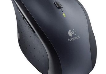 Mouse Wireless dengan Daya Baterai hingga 3 Tahun