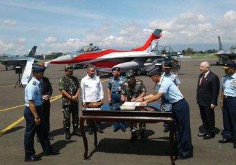 Resmi! 24 Pesawat Tempur F-16 Hibah AS Sudah Diterima oleh TNI AU