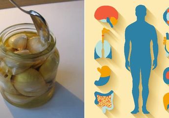 Besok Pagi Harus Langsung Coba, Minum Rendaman Madu dan Bawang Putih Saat Perut Masih Kosong, Ini yang Akan Terjadi pada Tubuh!