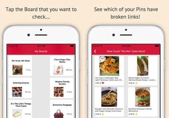PinCheck for Pinterest: Mengecek Tautan Semua Pin dengan Mudah