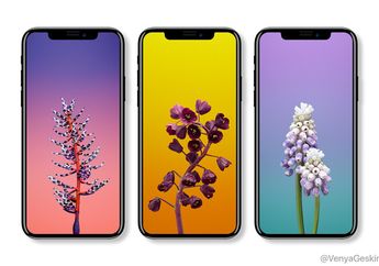 Bank di AS Bocorkan Nama iPhone X Edition, iPod touch 7th Gen, DLL