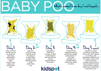 Warna Pup Bayi Berubah-Ubah?